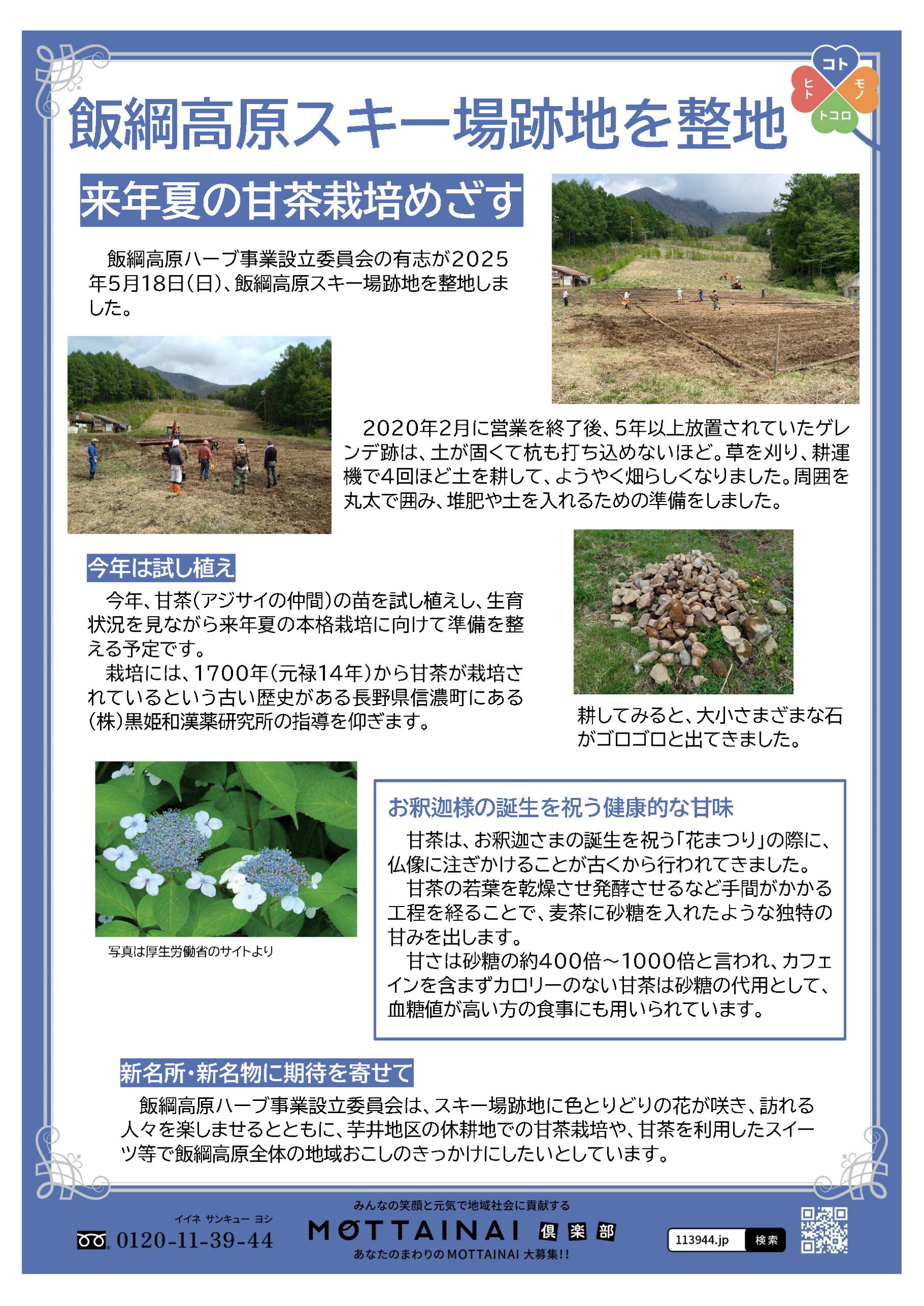 来年夏の甘茶栽培めざす
